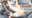2025-04-12 22:00の投稿