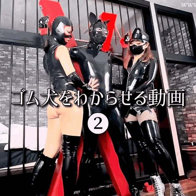 【コラボ動画】ゴム犬をわからせる❷ (1/3)