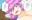 2025-04-19 03:44の投稿