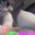 2025-04-19 19:00の投稿