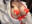 2025-05-06 20:00の投稿