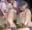 2020-05-02 12:38の投稿