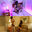 2025-05-09 19:00の投稿