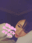 2025-05-19 21:23の投稿