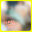 2025-05-20 12:00の投稿