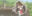 2025-05-26 08:27の投稿