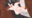 2025-05-26 17:13の投稿