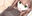 2020-05-05 19:01の投稿