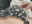 2025-06-17 22:00の投稿