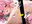 2025-06-09 19:00の投稿