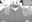 2025-06-10 16:04の投稿