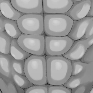 2025-06-18 15:55の投稿