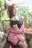 2025-06-24 00:40の投稿
