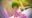 2020-05-10 20:42の投稿