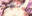 2025-06-27 18:29の投稿