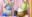 2025-07-01 00:27の投稿