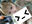 2025-07-20 23:18の投稿