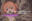 2025-08-02 09:26の投稿