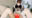 2025-08-10 18:28の投稿