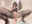 2025-08-13 23:49の投稿