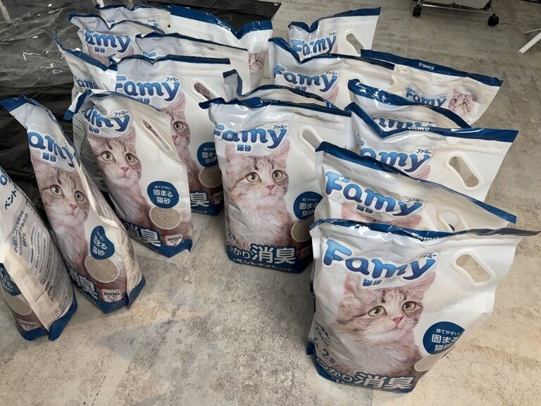 猫砂拘束！🐈舞台裏写真