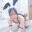 2025-08-31 17:00の投稿