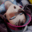 2025-08-29 20:00の投稿