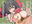 2025-09-01 19:27の投稿