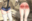 2025-09-04 22:16の投稿