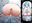 2025-09-12 20:20の投稿