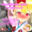 2025-09-20 19:30の投稿