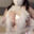 2025-09-25 19:00の投稿