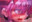 2020-05-29 19:10の投稿