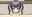2025-09-29 21:33の投稿