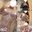 2025-10-04 19:00の投稿
