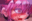 2020-05-30 18:25の投稿