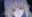 2025-10-11 19:22の投稿