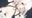 2020-06-01 19:15の投稿