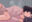 2025-10-22 00:00の投稿