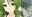 2020-06-03 00:37の投稿