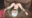 2025-10-28 16:28の投稿