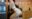 2025-11-20 00:00の投稿