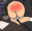 2025-11-27 20:34の投稿
