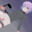 2025-11-28 19:00の投稿
