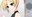 2020-06-11 03:25の投稿
