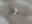 2025-12-05 00:02の投稿