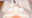 2025-12-07 20:00の投稿