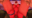 2025-12-09 03:02の投稿