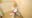 2020-06-14 10:51の投稿