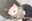 2025-12-21 20:15の投稿